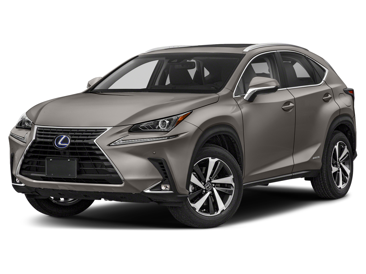 2021 Lexus NX 350h 300h AWD's photo