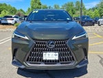 2024 Lexus NX 250 Base