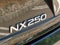 2024 Lexus NX 250 Base