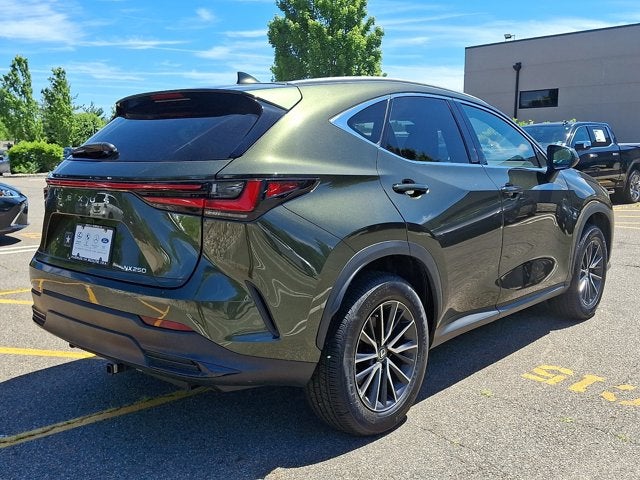 2024 Lexus NX 250 Base