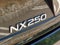 2024 Lexus NX 250 Base