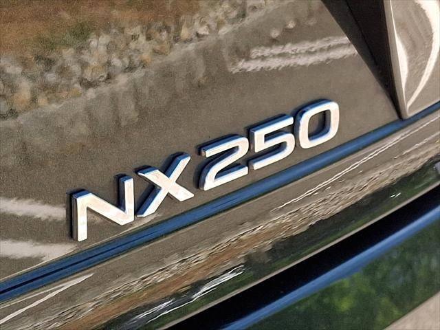 2024 Lexus NX 250 Base