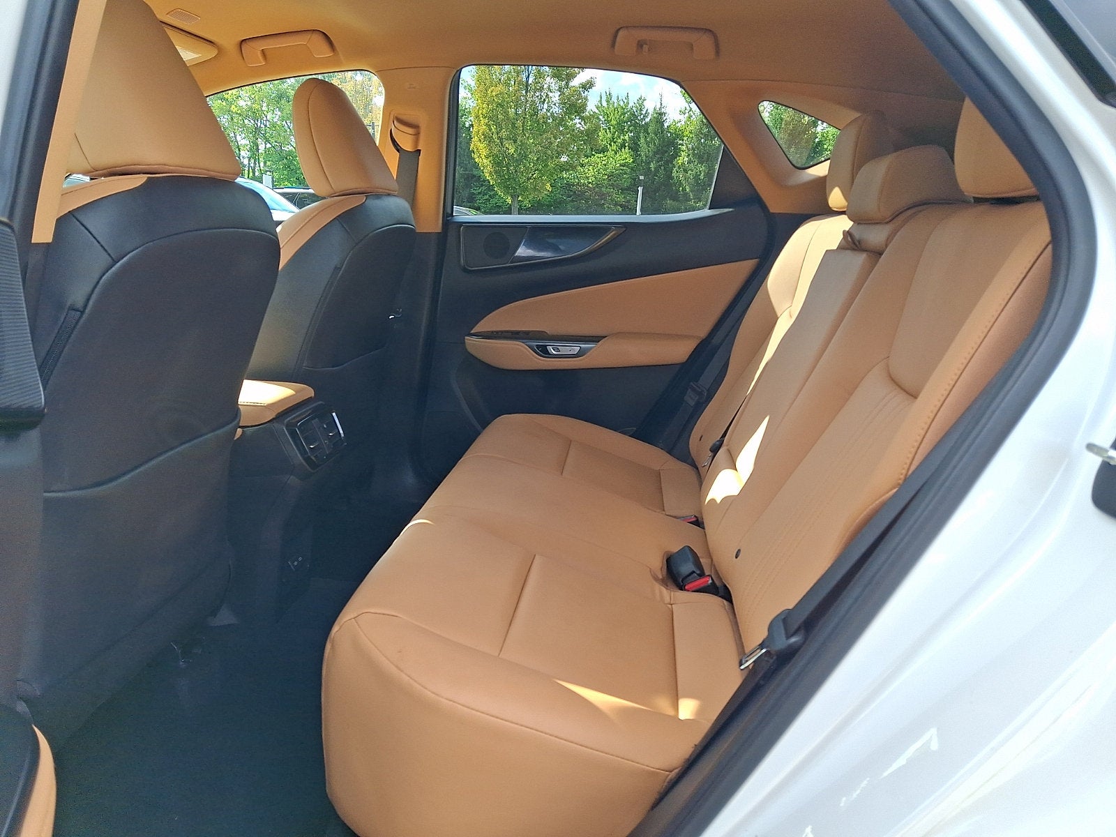 2024 Lexus NX 250 Base