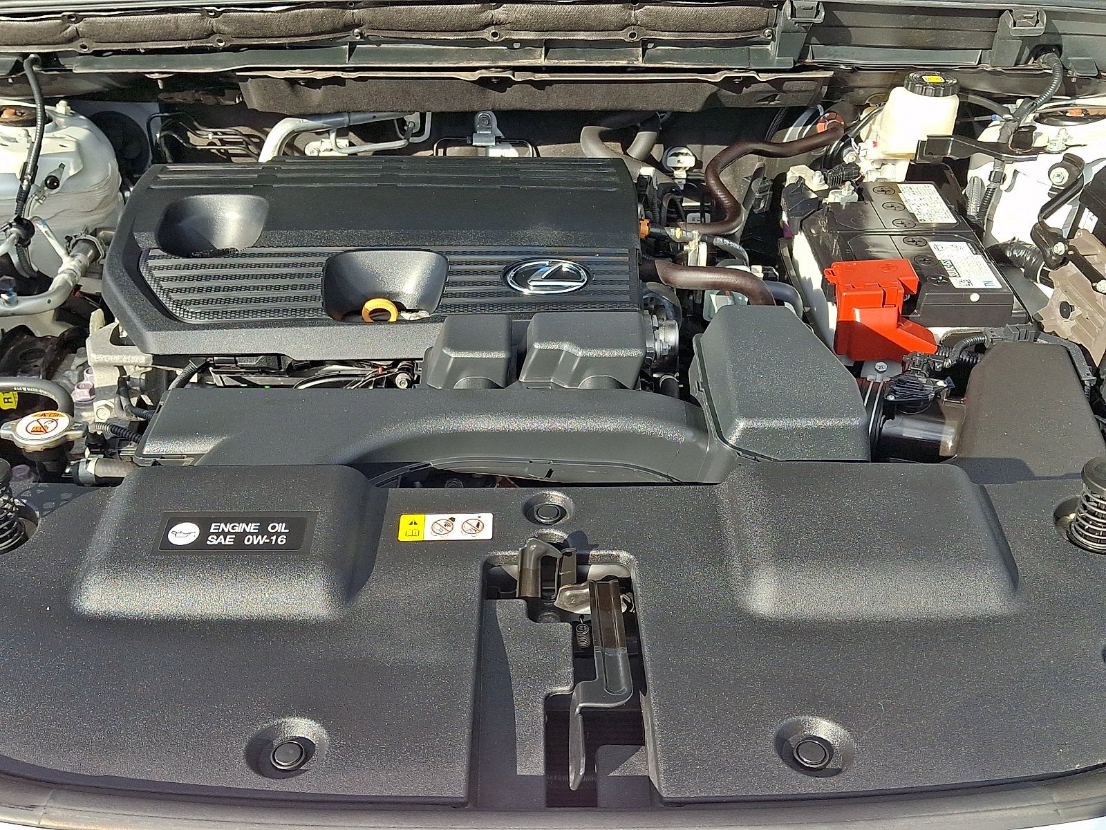 2024 Lexus NX 250 Base
