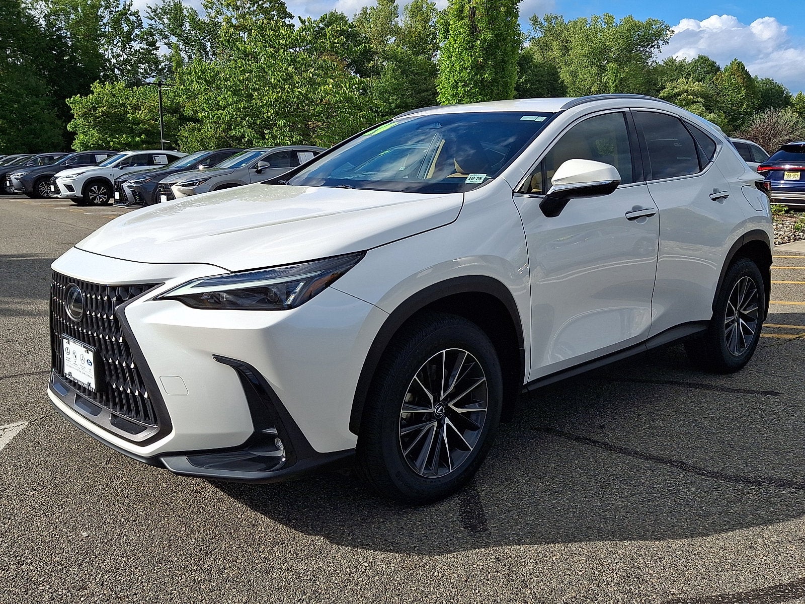 2024 Lexus NX 250 Base