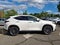 2024 Lexus NX 250 Base