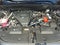 2024 Lexus NX 350 Base