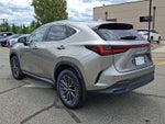 2022 Lexus NX 350 Base