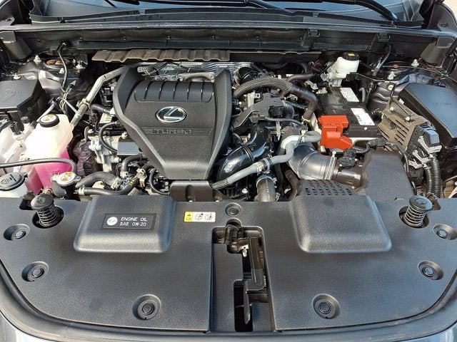 2024 Lexus NX 350 Base