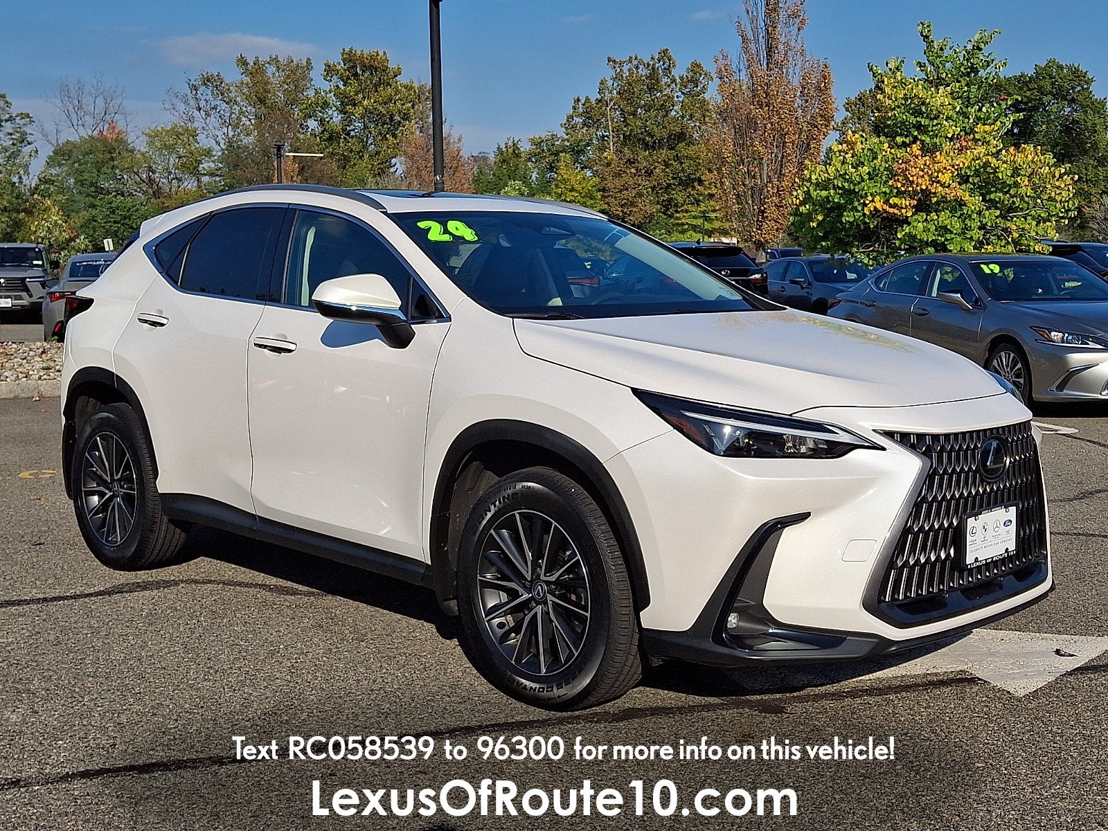 2024 Lexus NX