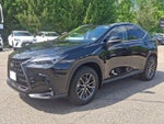 2022 Lexus NX 350 Base