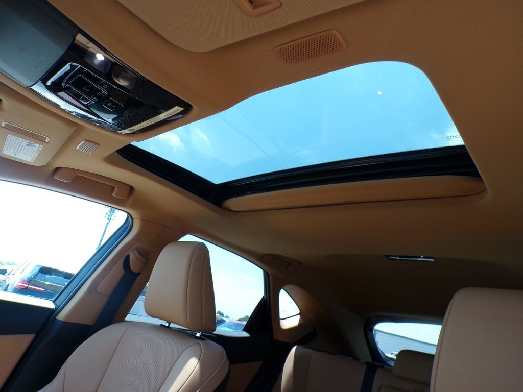 2024 Lexus NX 350 Base