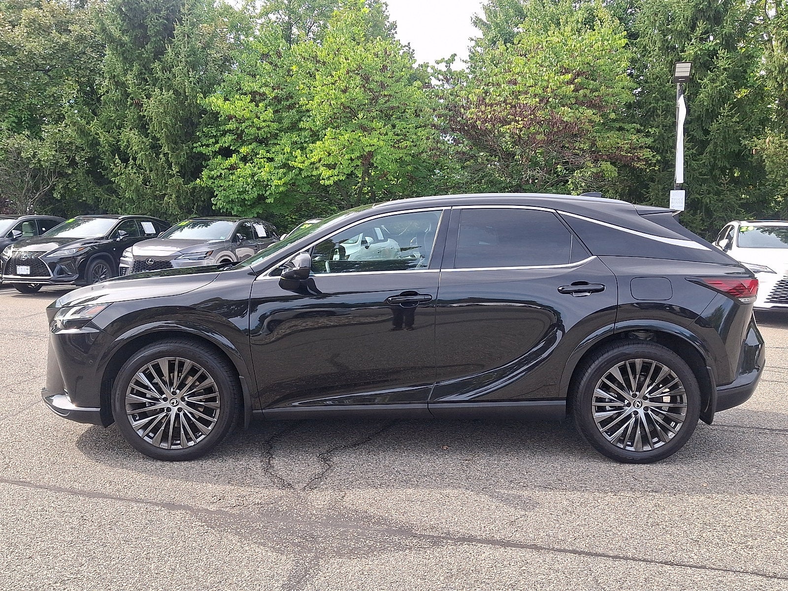 2023 Lexus RX 350 Luxury