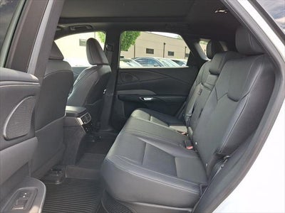 2023 Lexus RX 350h Premium Plus