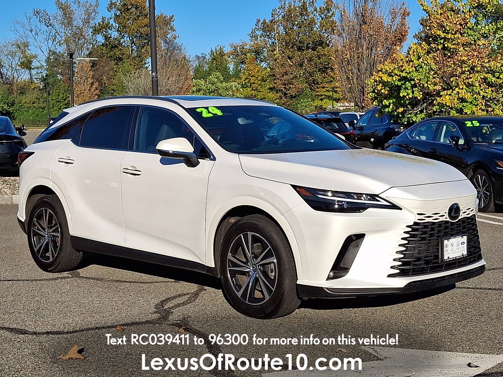 2024 Lexus RX