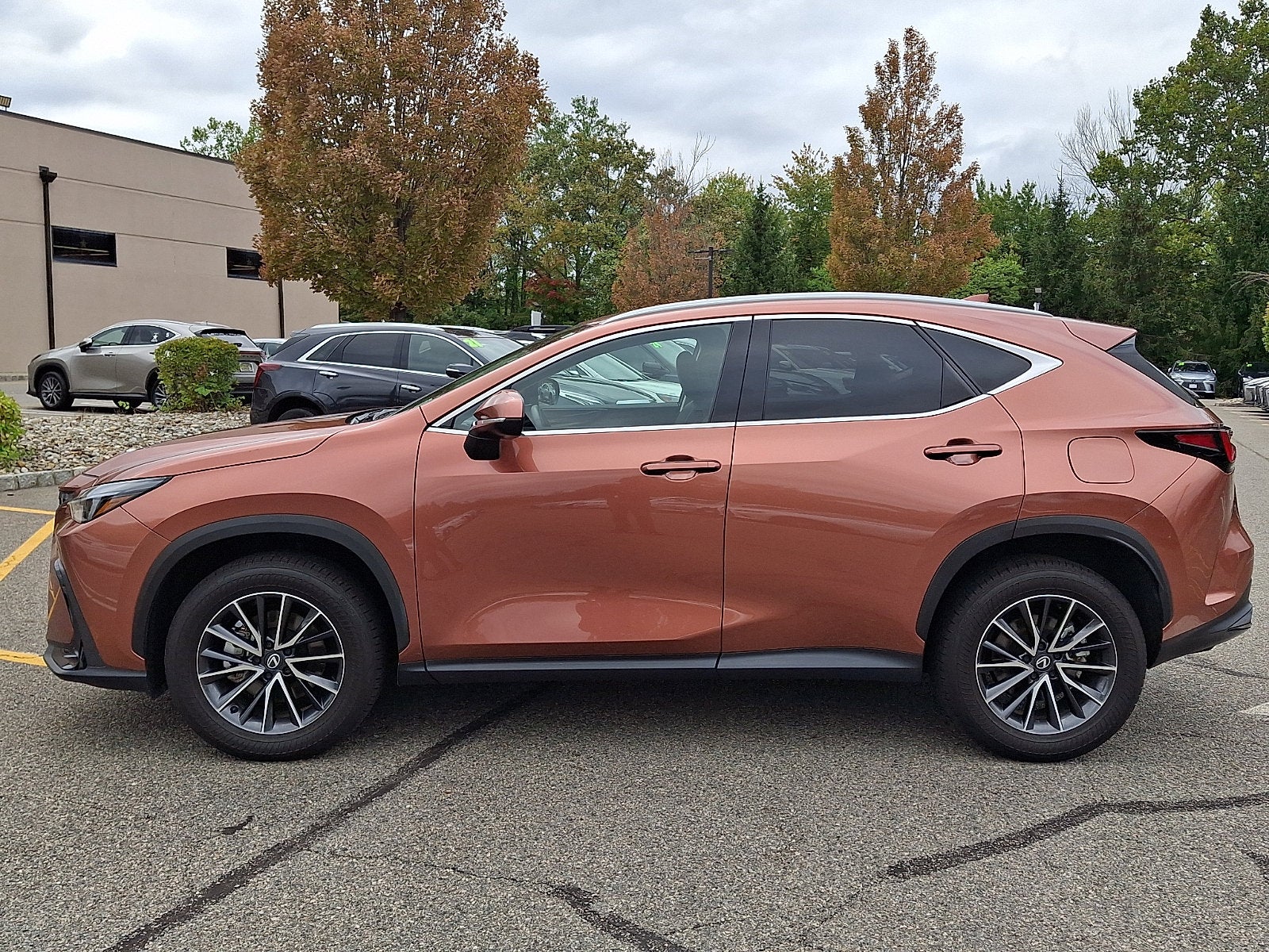 2026 Lexus NX 350 Premium