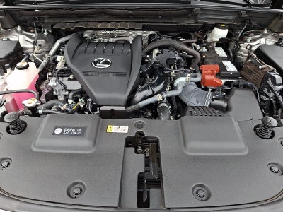 2024 Lexus NX 350 Premium