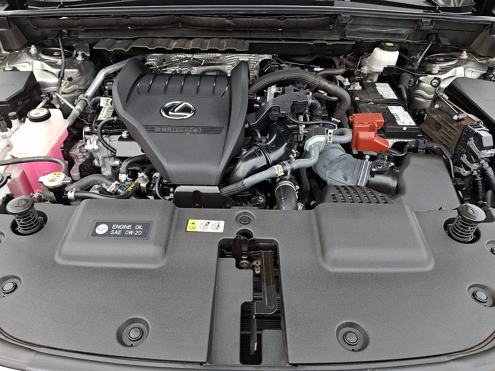 2024 Lexus NX 350 Premium