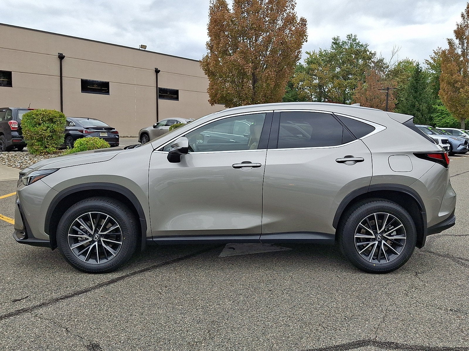 2024 Lexus NX 350 Premium