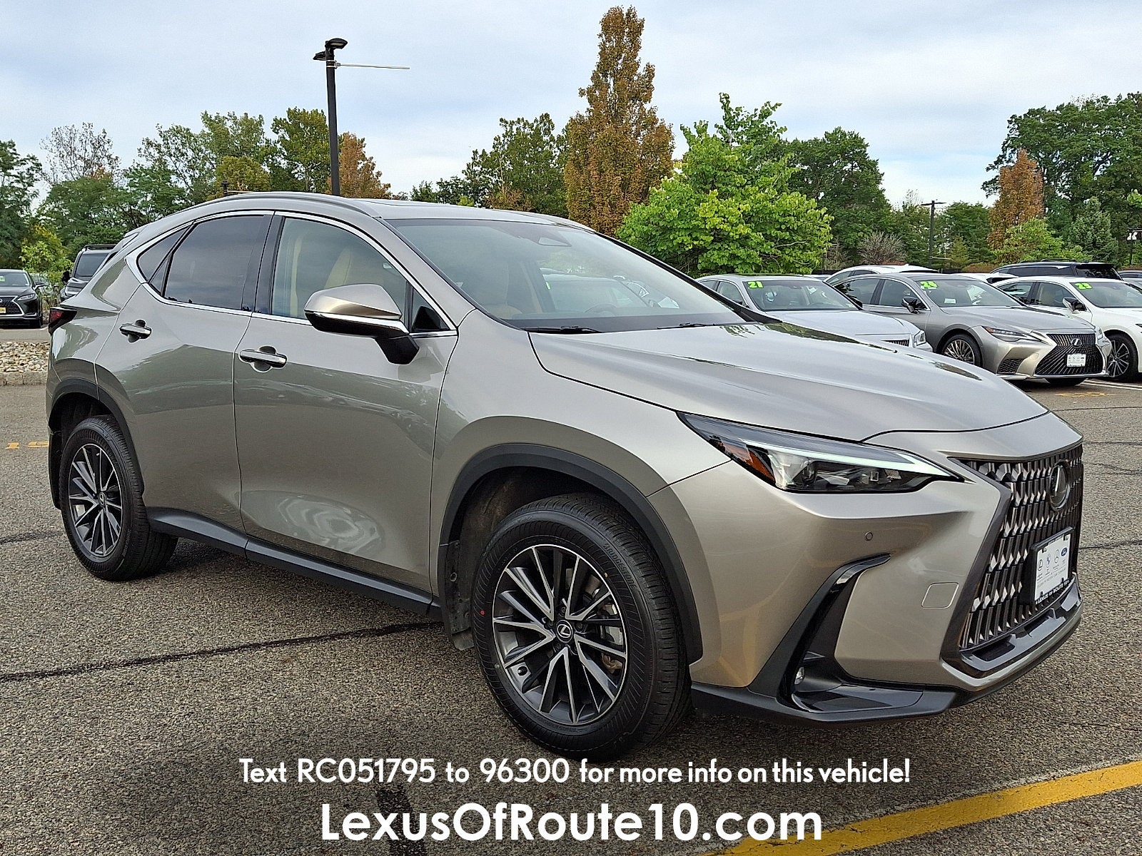 2024 Lexus NX
