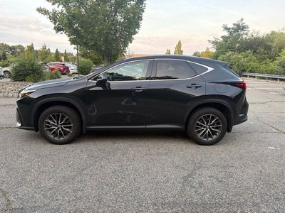 2024 Lexus NX 350 Premium