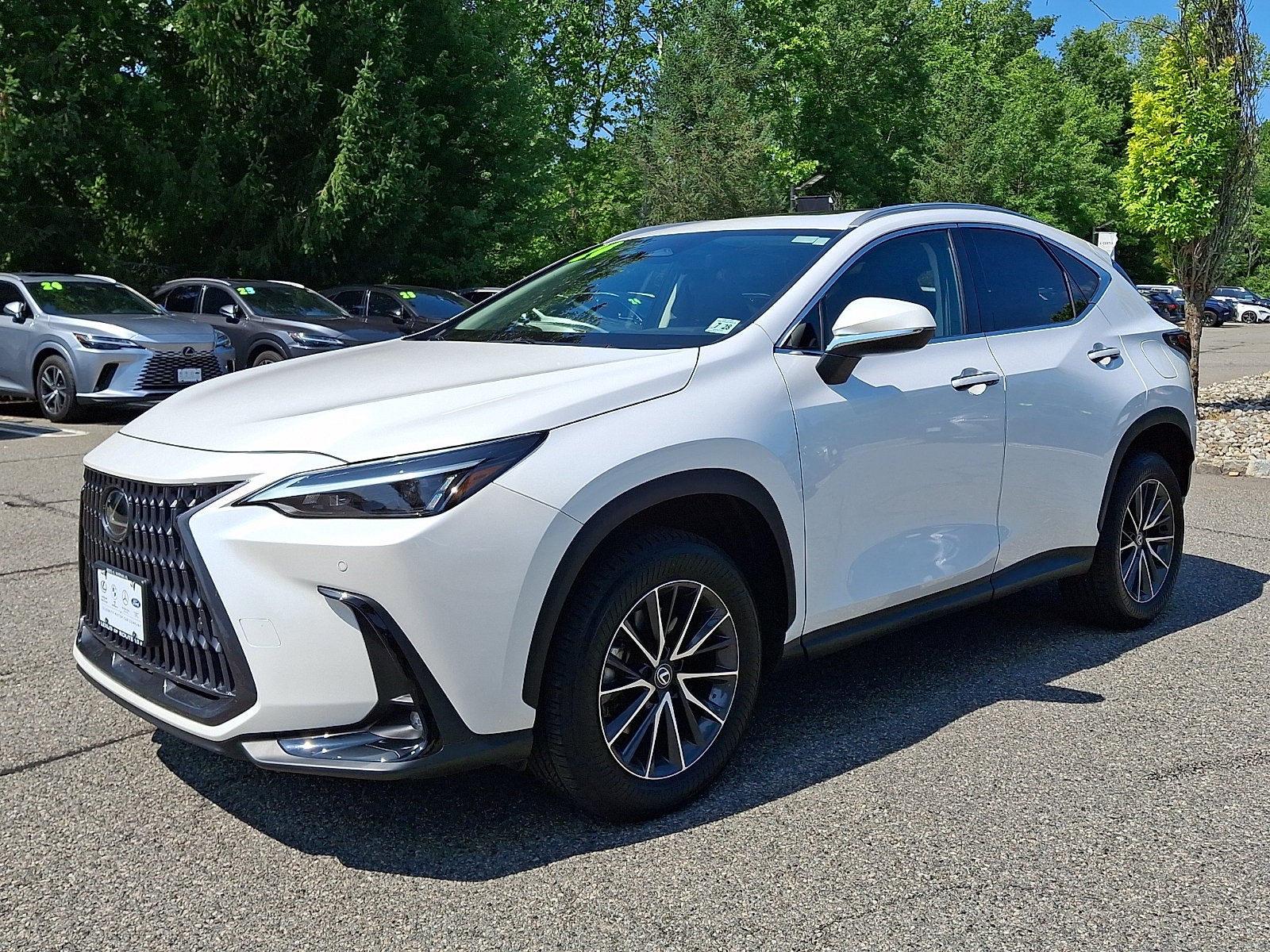 2024 Lexus NX 350 Premium