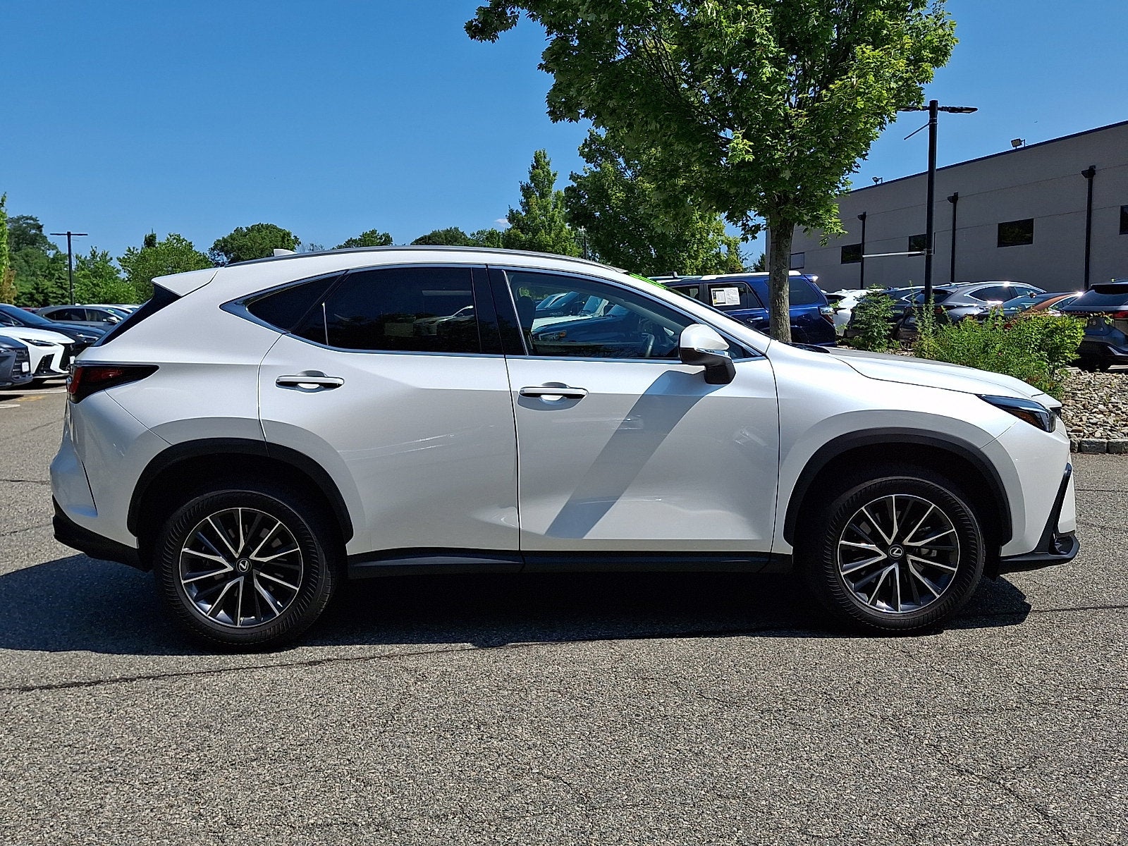 2024 Lexus NX 350 Premium
