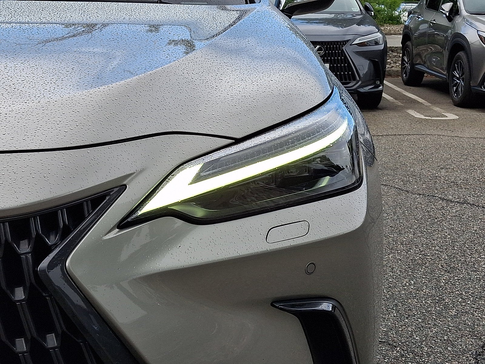 2023 Lexus NX 350 Luxury