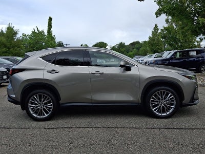 2023 Lexus NX 350 Luxury