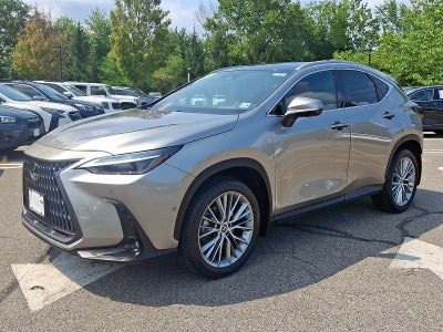 2024 Lexus NX 350h Luxury
