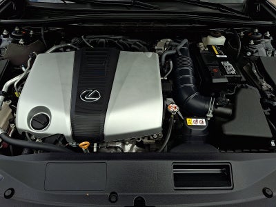 2019 Lexus ES 350