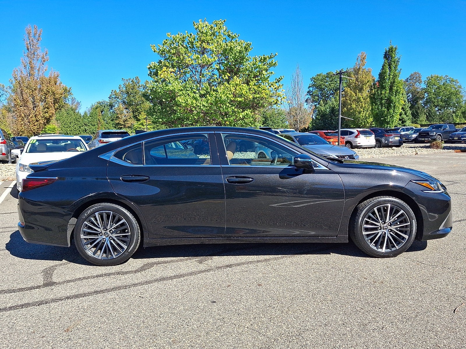 2024 Lexus ES 350