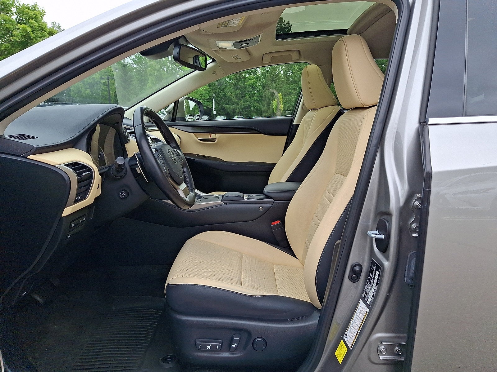 2021 Lexus NX 300h