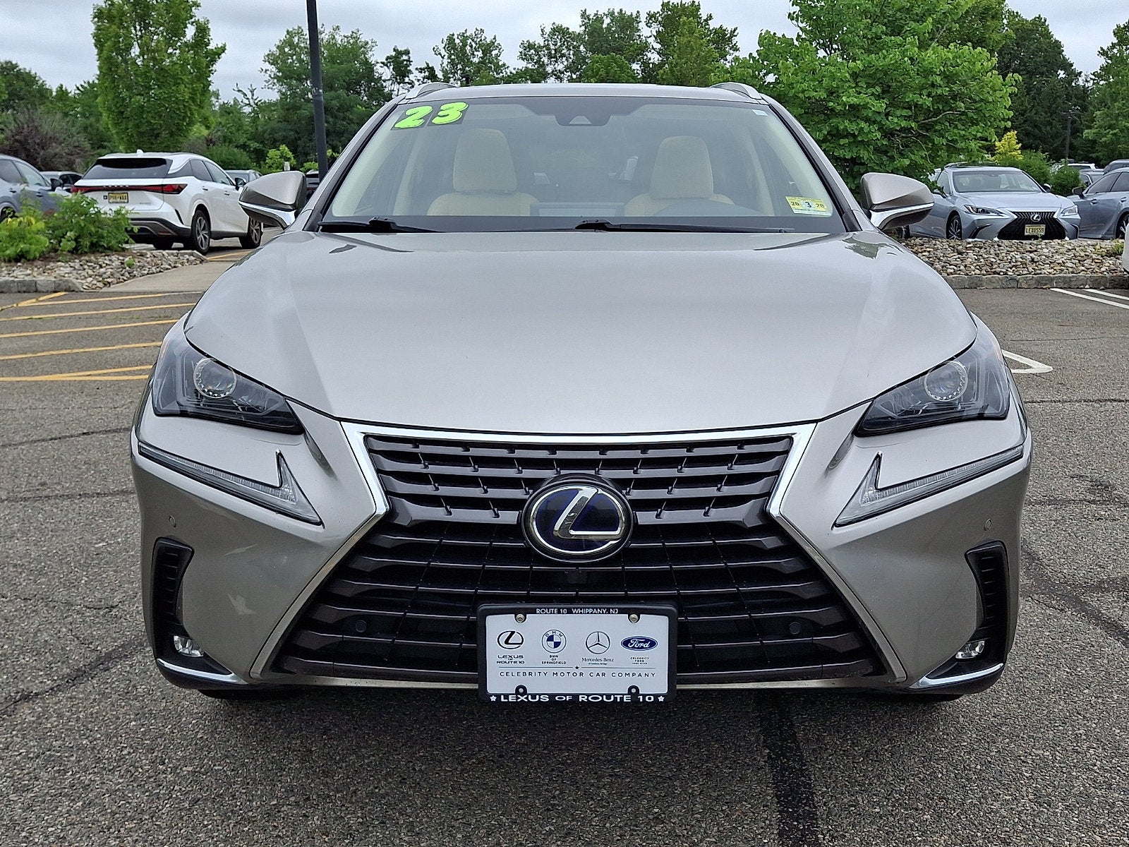 2021 Lexus NX 300h