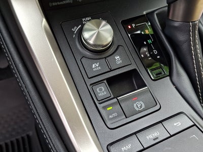 2021 Lexus NX 300h
