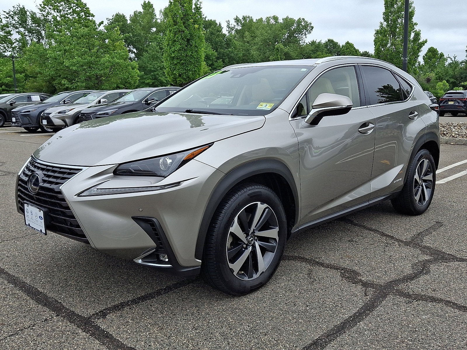 2021 Lexus NX 300h