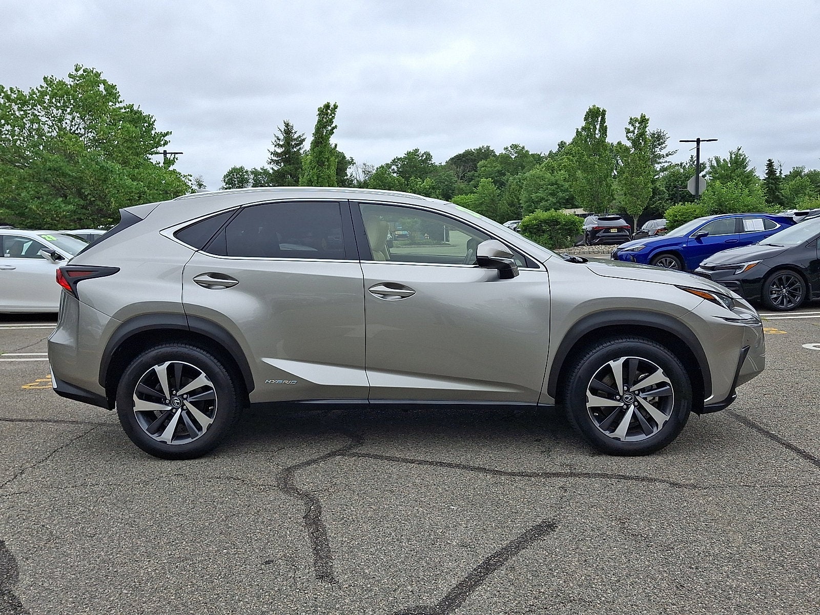 2021 Lexus NX 300h