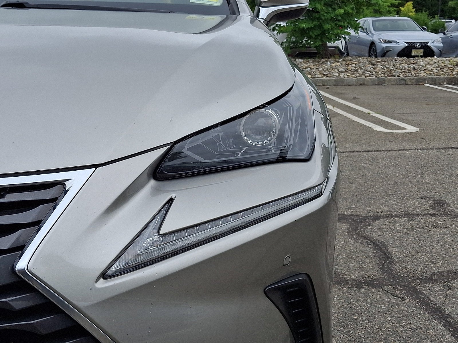2021 Lexus NX 300h